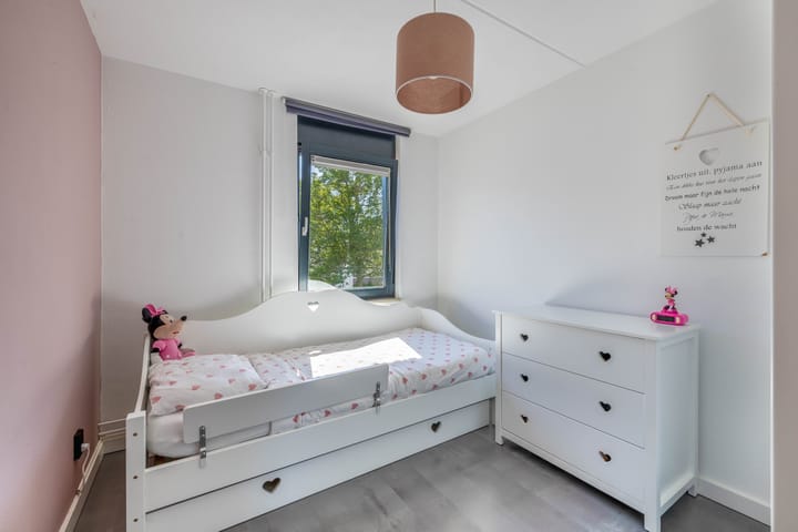 Foto 18 van Knoopkruid 8