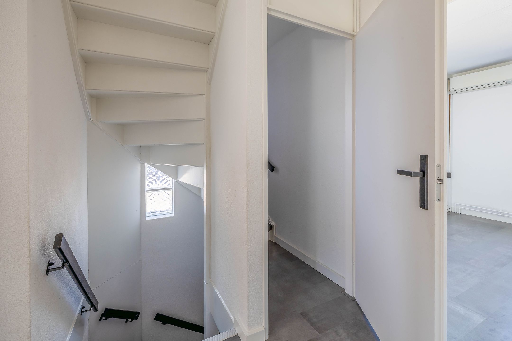 Foto 21 van Knoopkruid 8