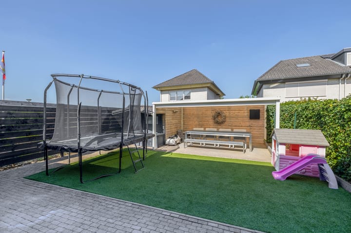 Foto 26 van Knoopkruid 8