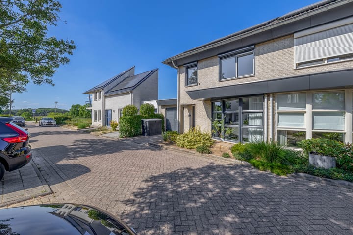 Foto 30 van Knoopkruid 8