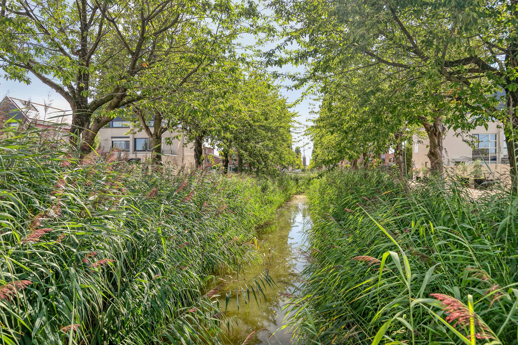 Photo 33 of van Eedenstraat 9