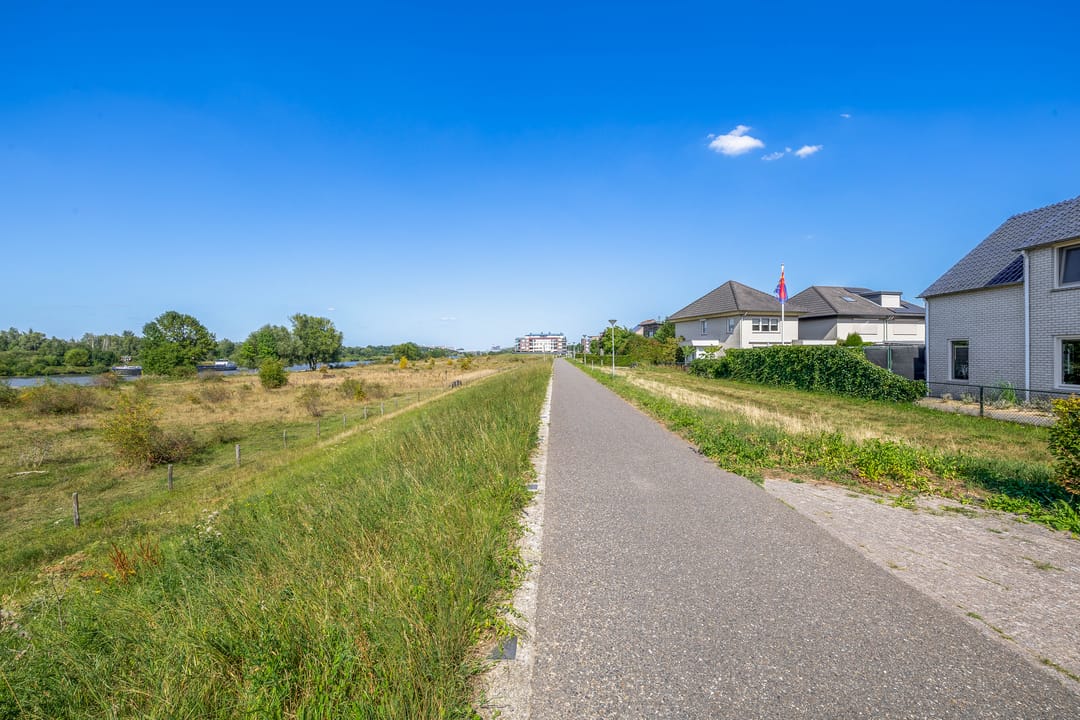 Foto 31 van Knoopkruid 8