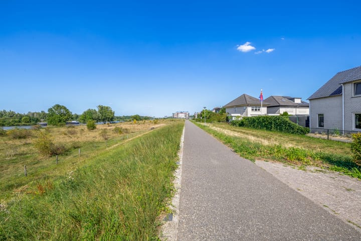 Foto 31 van Knoopkruid 8