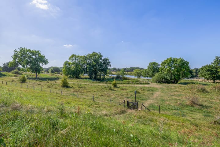 Foto 32 van Knoopkruid 8