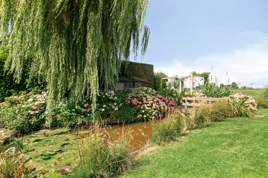 Photo 41 of Minkeloos 51