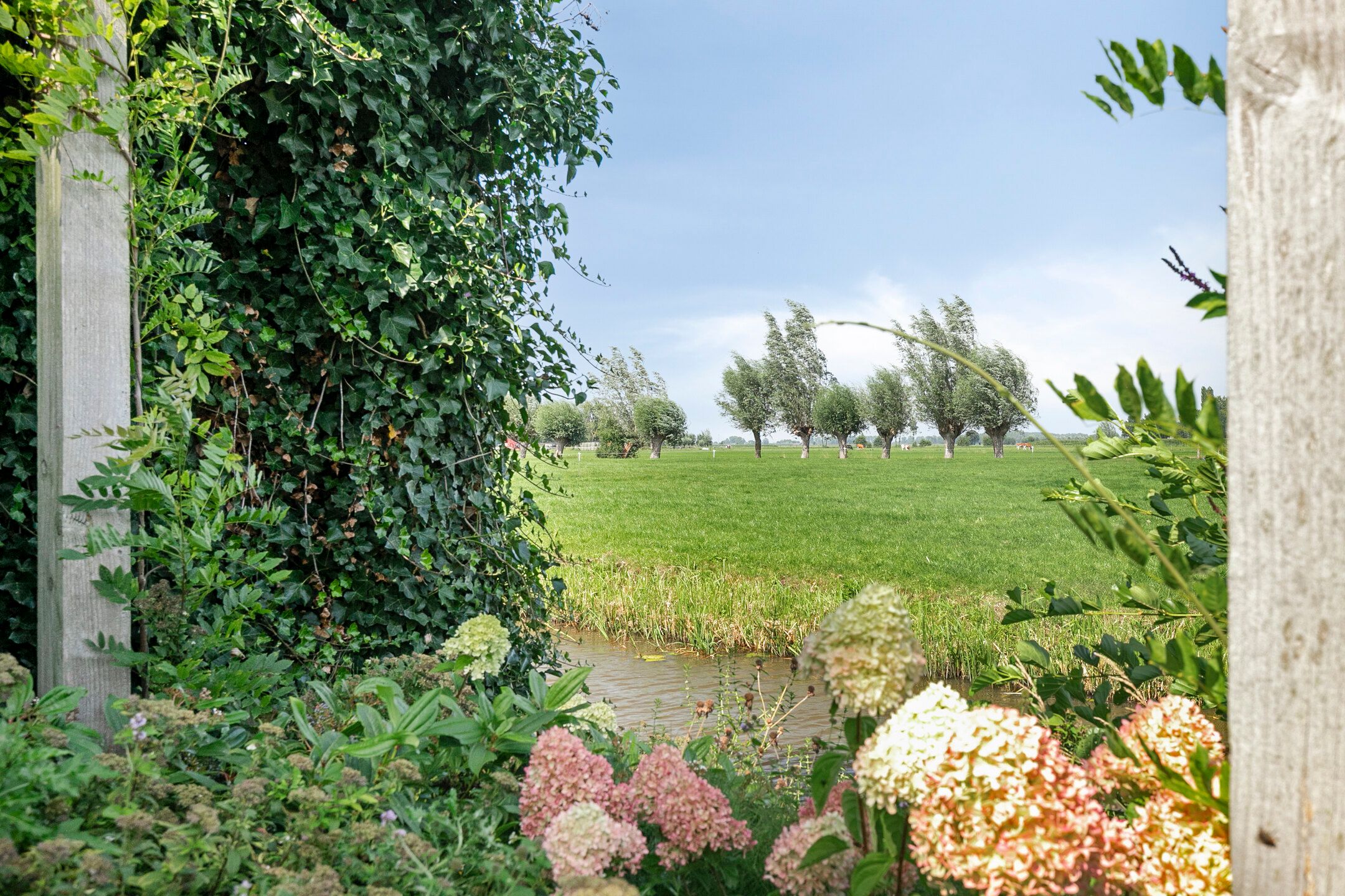 Photo 42 of Minkeloos 51