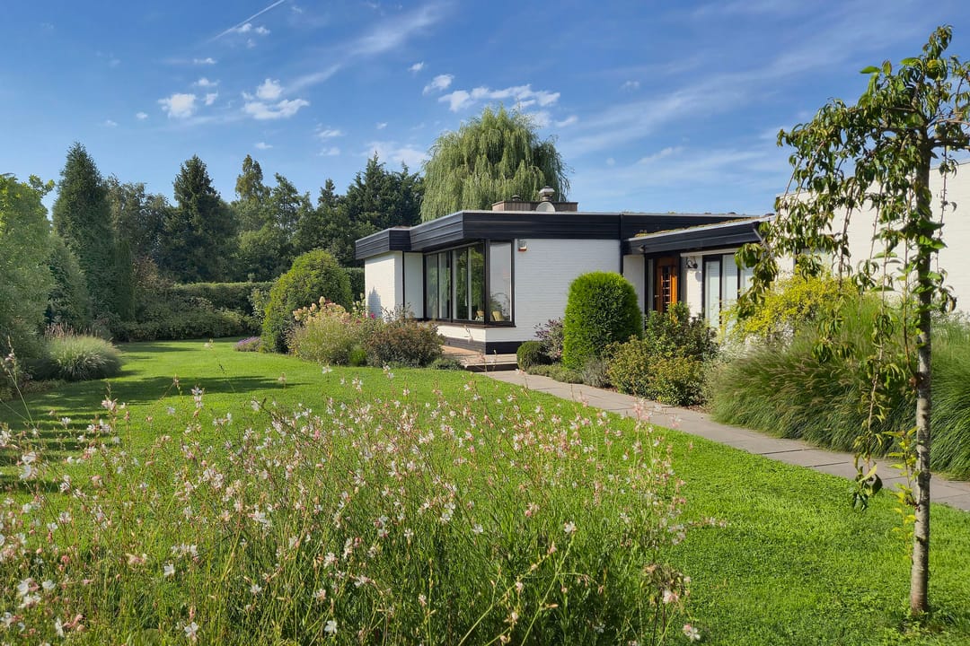 Photo 43 of Minkeloos 51