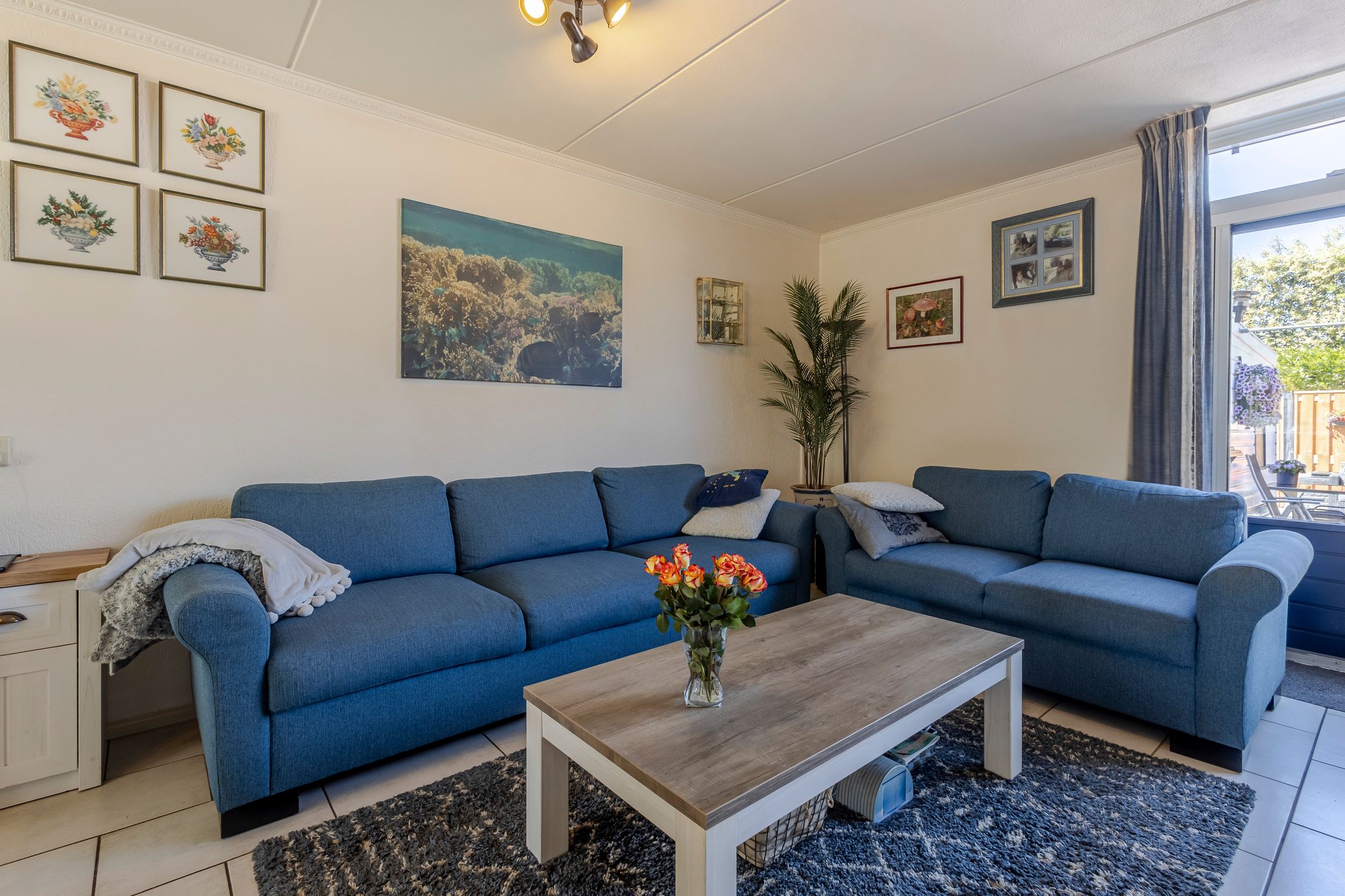 Foto 6 van Tureluur 23