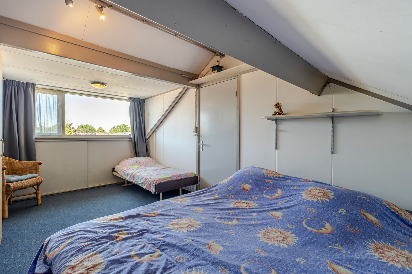 Foto 19 van Tureluur 23