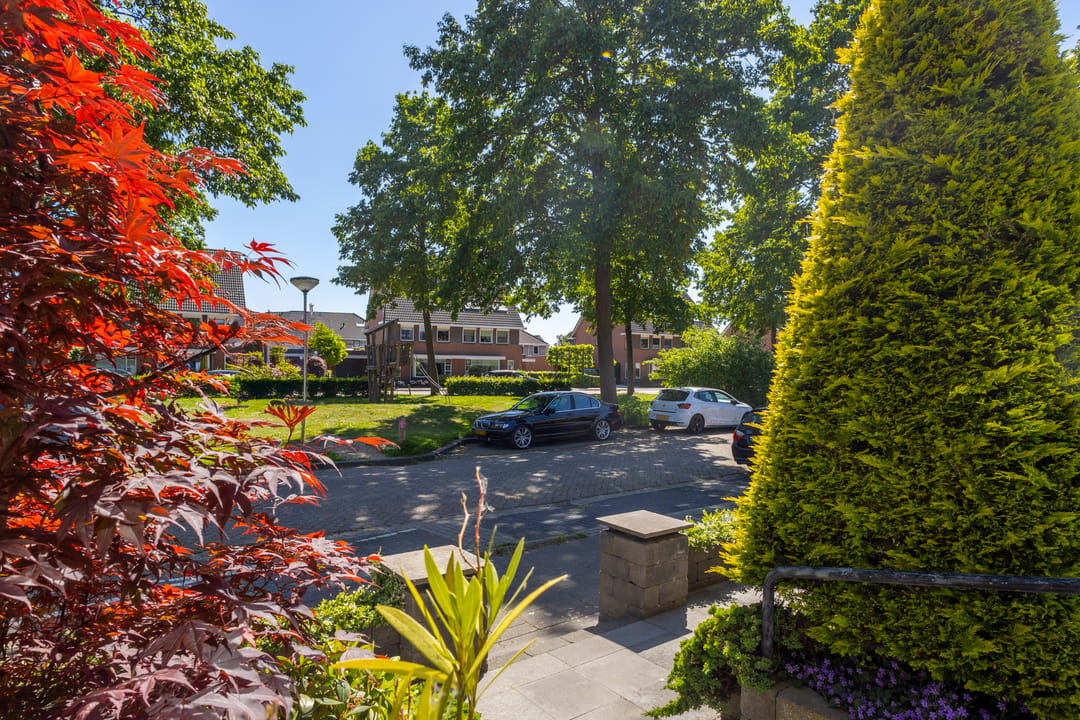 Foto 28 van Tureluur 23