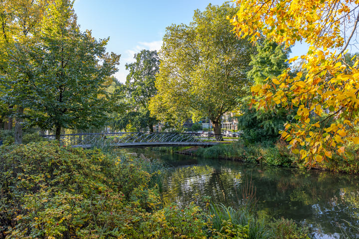 Photo 31 of Spoorsingel 18-A