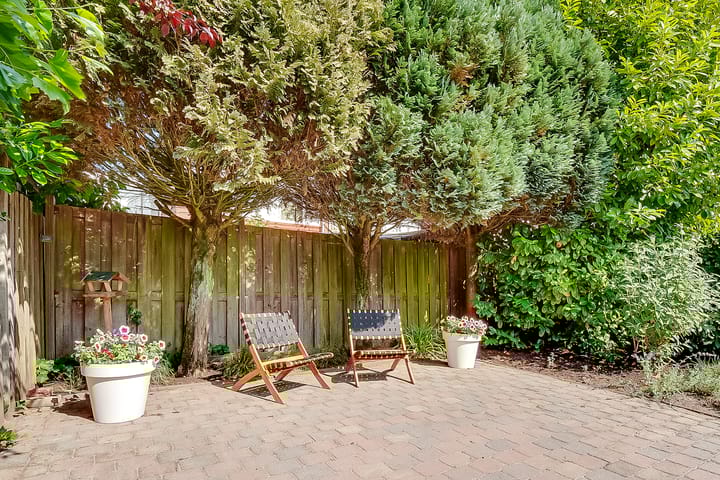 Foto 29 van Kolkrijst 151