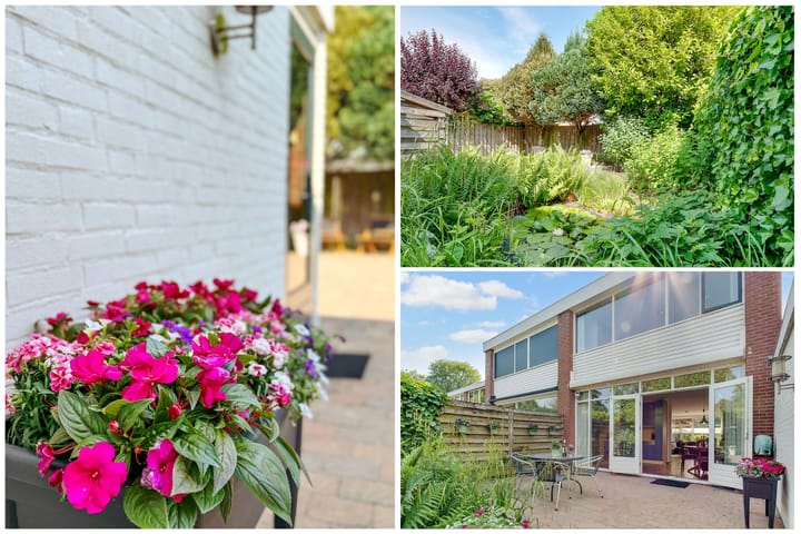 Foto 35 van Kolkrijst 151