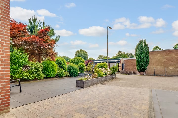 Foto 40 van Kolkrijst 151