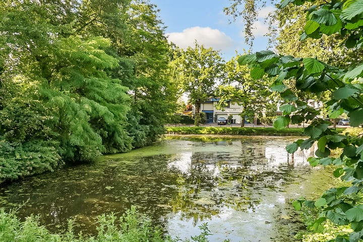 Foto 46 van Kolkrijst 151