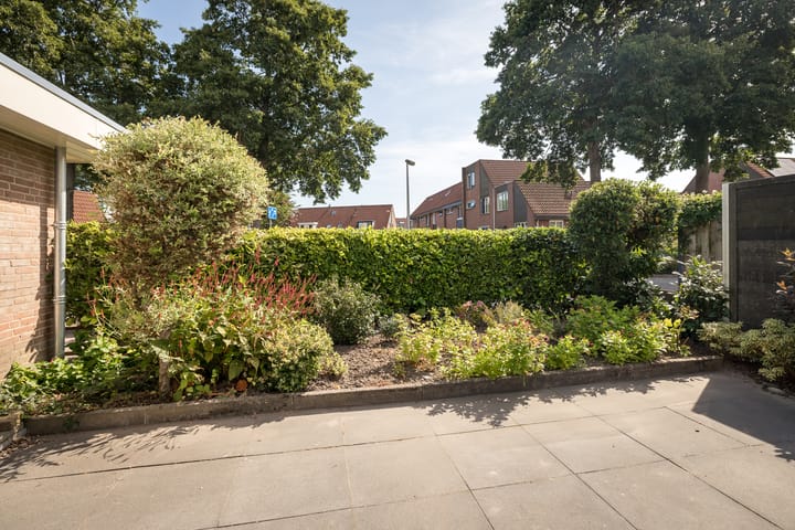 Foto 6 van Meander 38