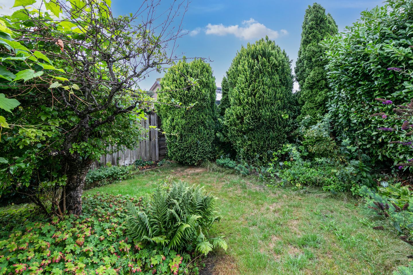 Foto 35 van Kievitlaan 16