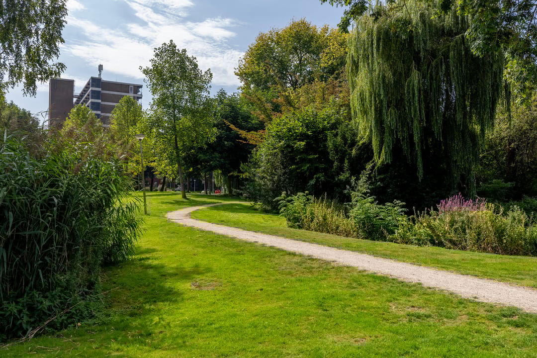 Photo 46 of Parkzoom 35