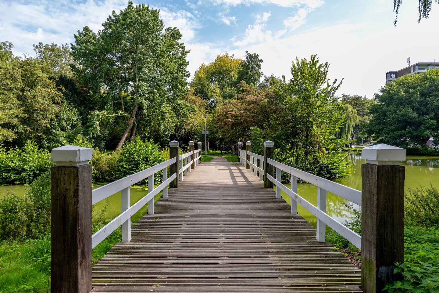 Photo 49 of Parkzoom 35