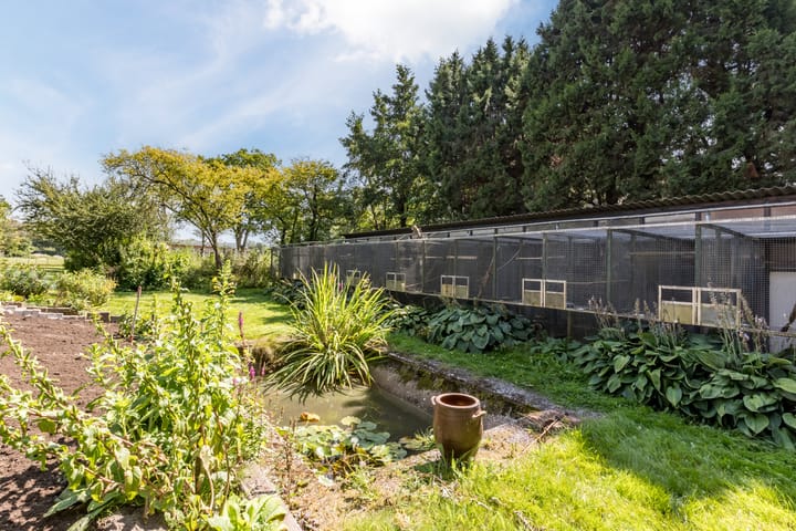 Foto 41 van Jan Tooropweg 3