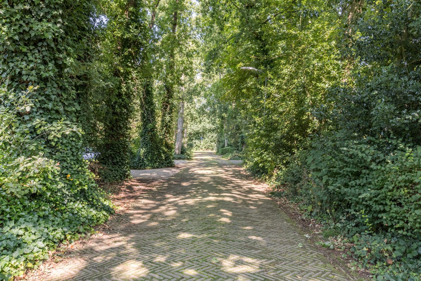 Foto 50 van Jan Tooropweg 3