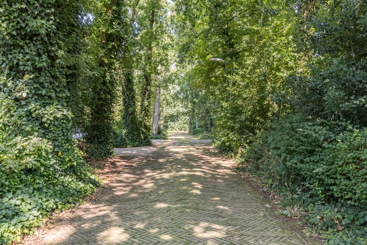 Foto 50 van Jan Tooropweg 3