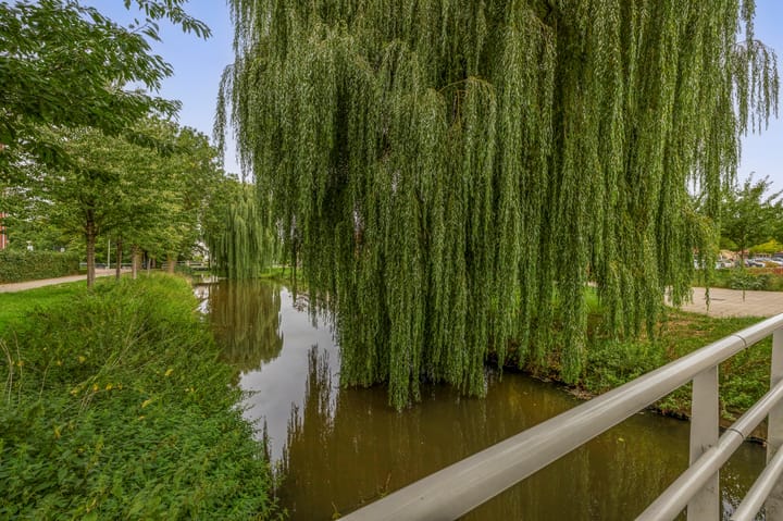 Foto 30 van Korenakker 63