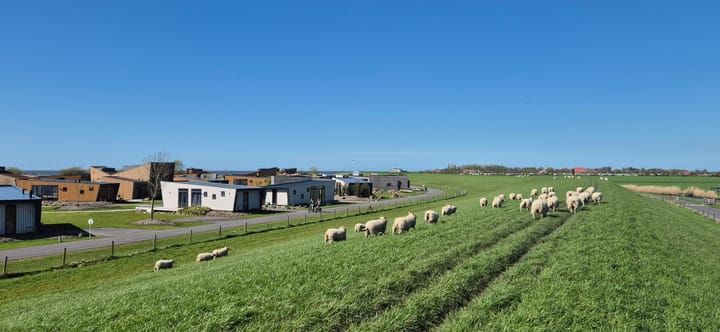 Photo 34 of Schuilenburg 2-302