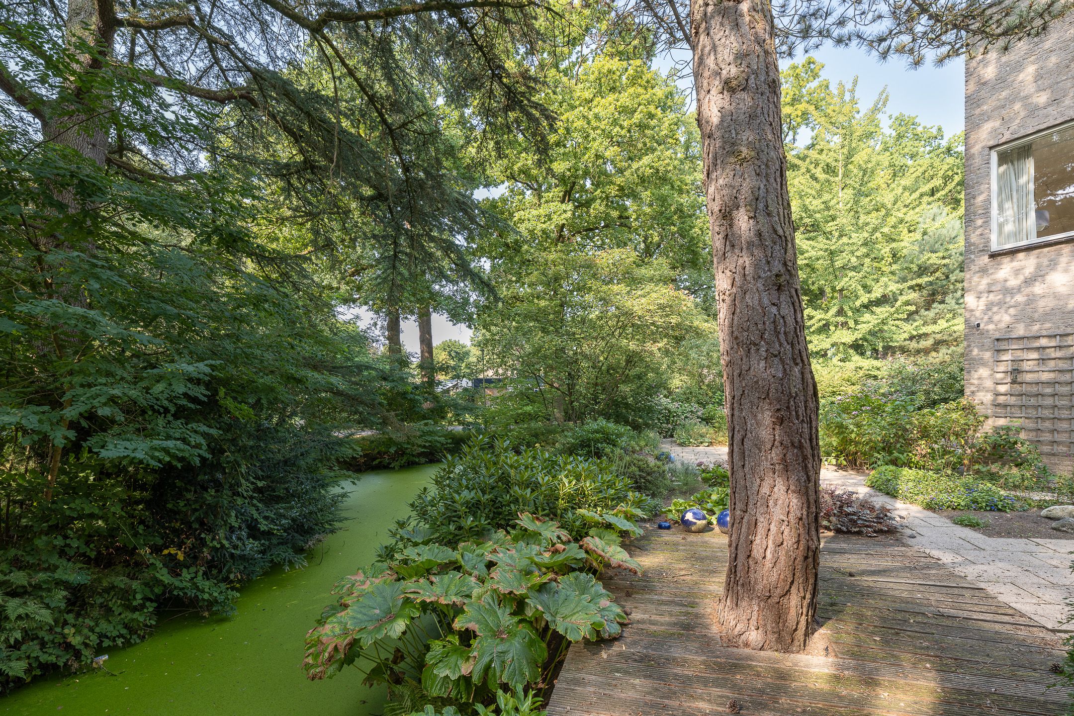 Photo 42 of Xaveriuslaan 6