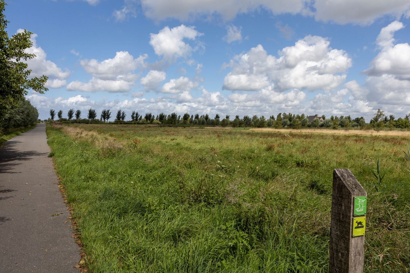 Foto 50 van Lingestraat 145