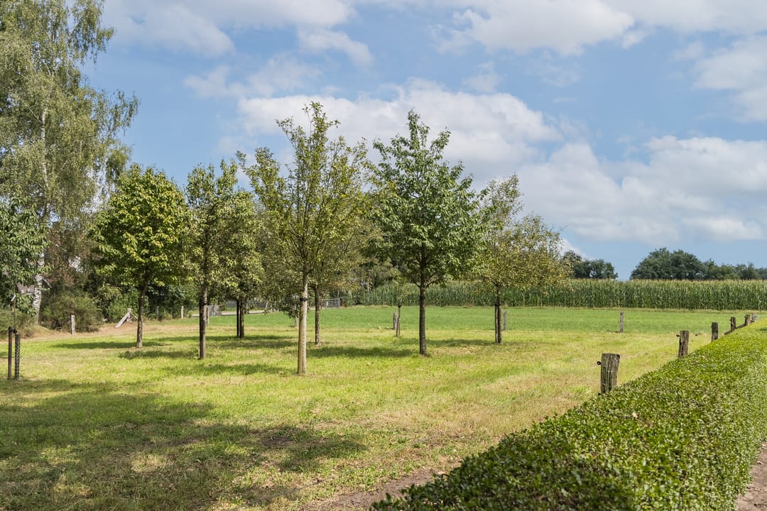 Foto 31 van Oude Uelserdijk 6