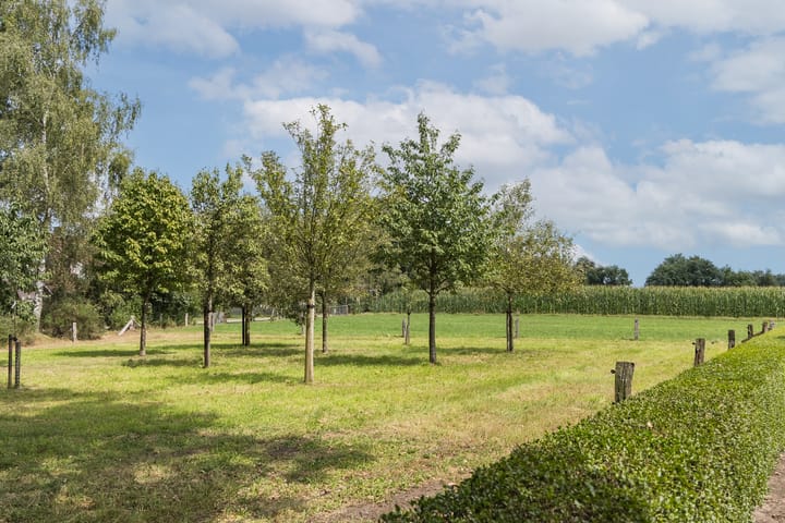 Foto 31 van Oude Uelserdijk 6