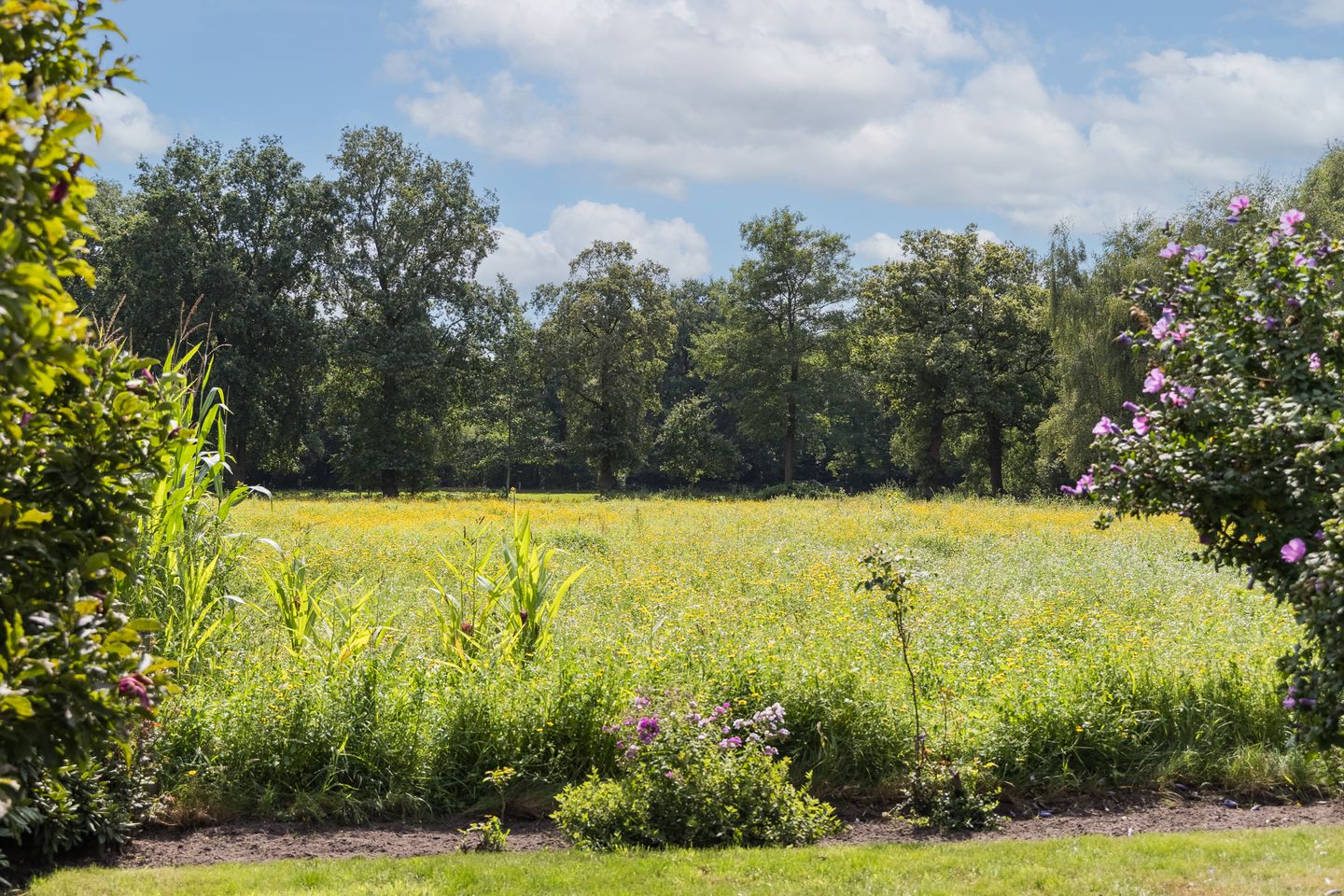 Foto 34 van Oude Uelserdijk 6