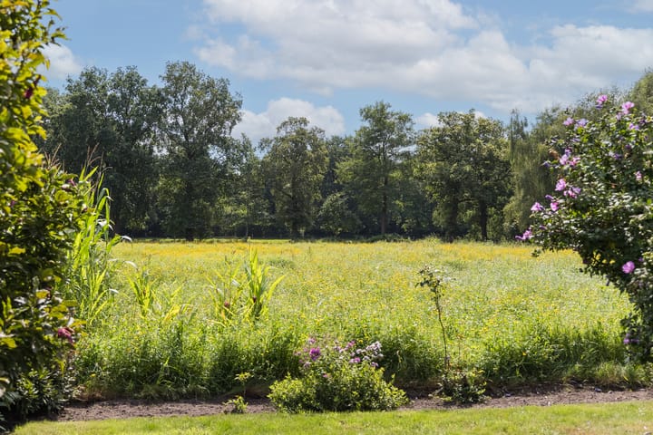 Foto 34 van Oude Uelserdijk 6