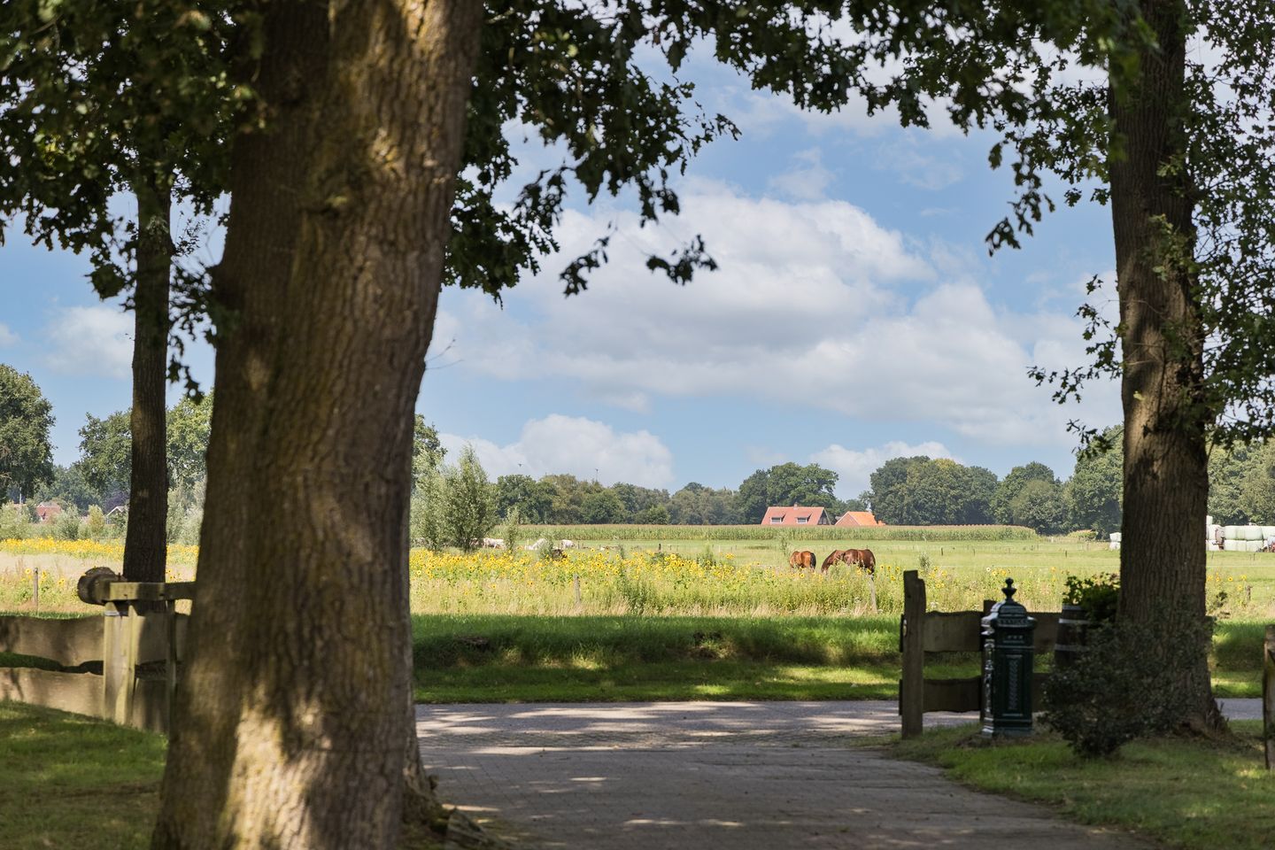 Foto 40 van Oude Uelserdijk 6
