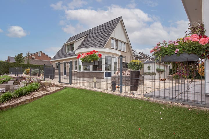 Foto 41 van Scholekster 44