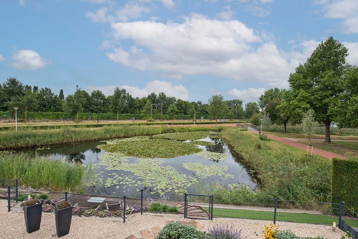 Foto 42 van Scholekster 44