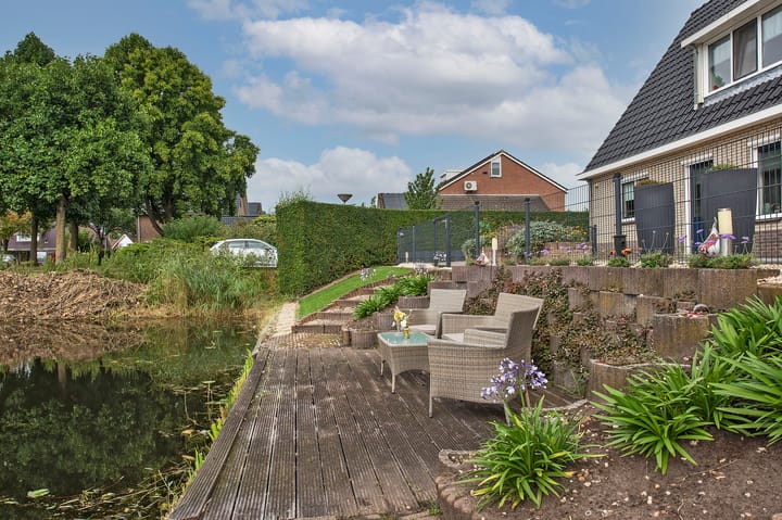 Foto 43 van Scholekster 44