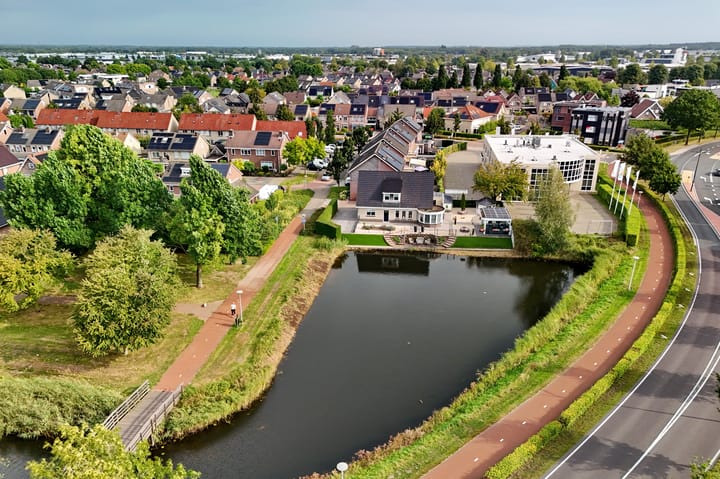 Foto 45 van Scholekster 44