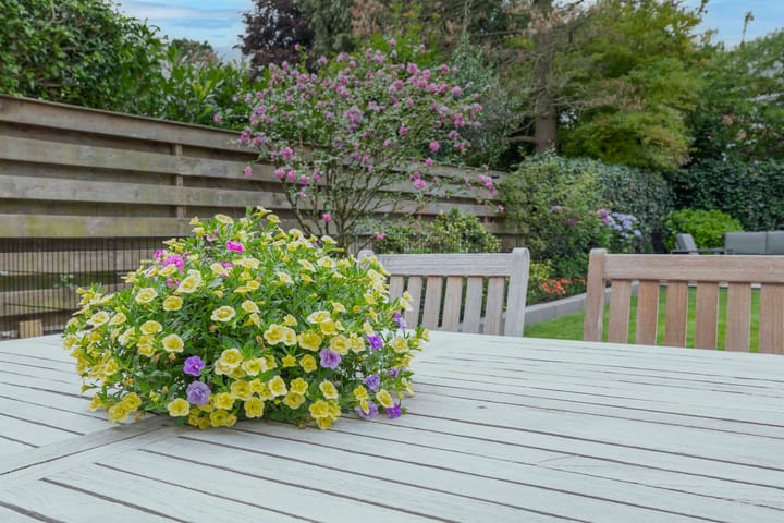 Foto 28 van Dennenlaan 20