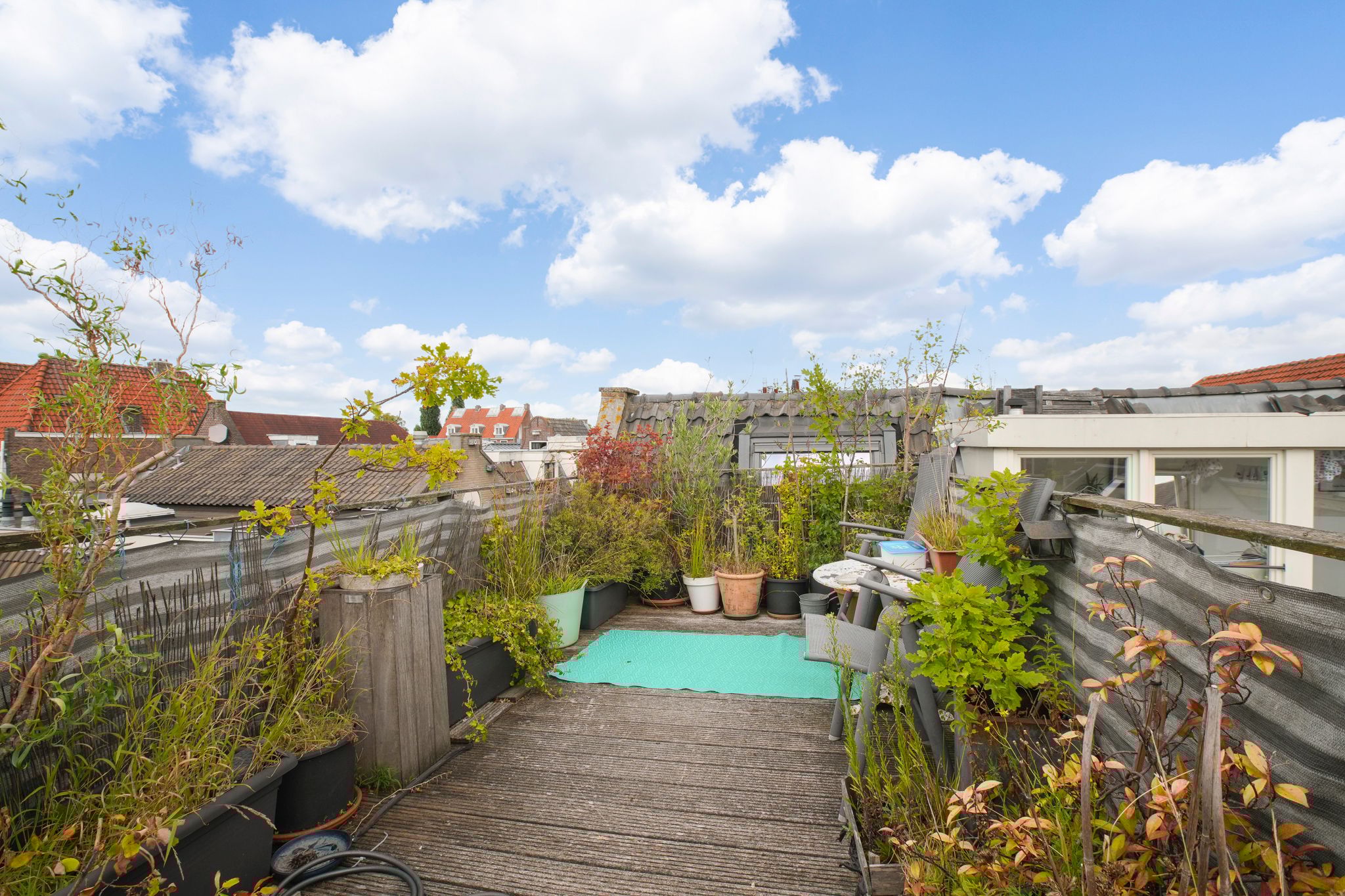 Foto 18 van Eerste Goudsbloemdwarsstraat 19