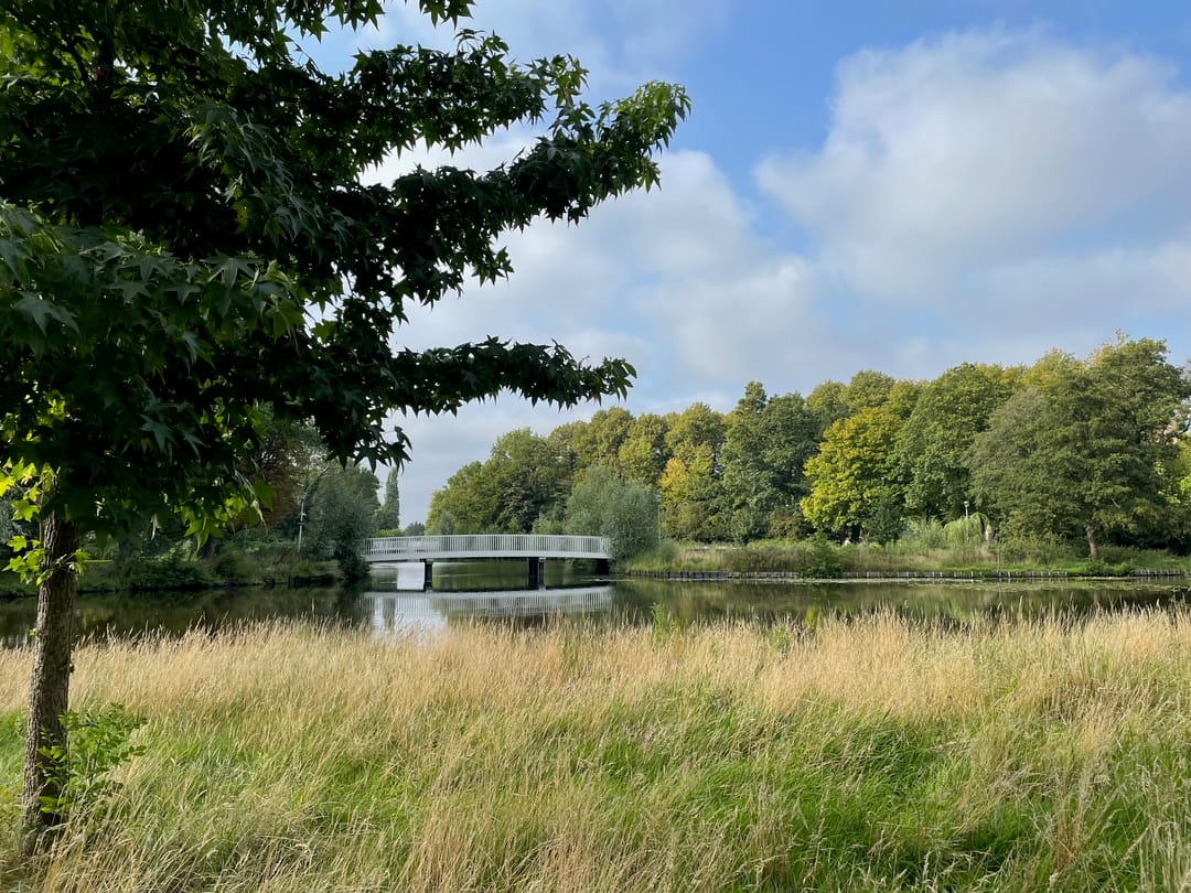 Foto 37 van Korteweg 19