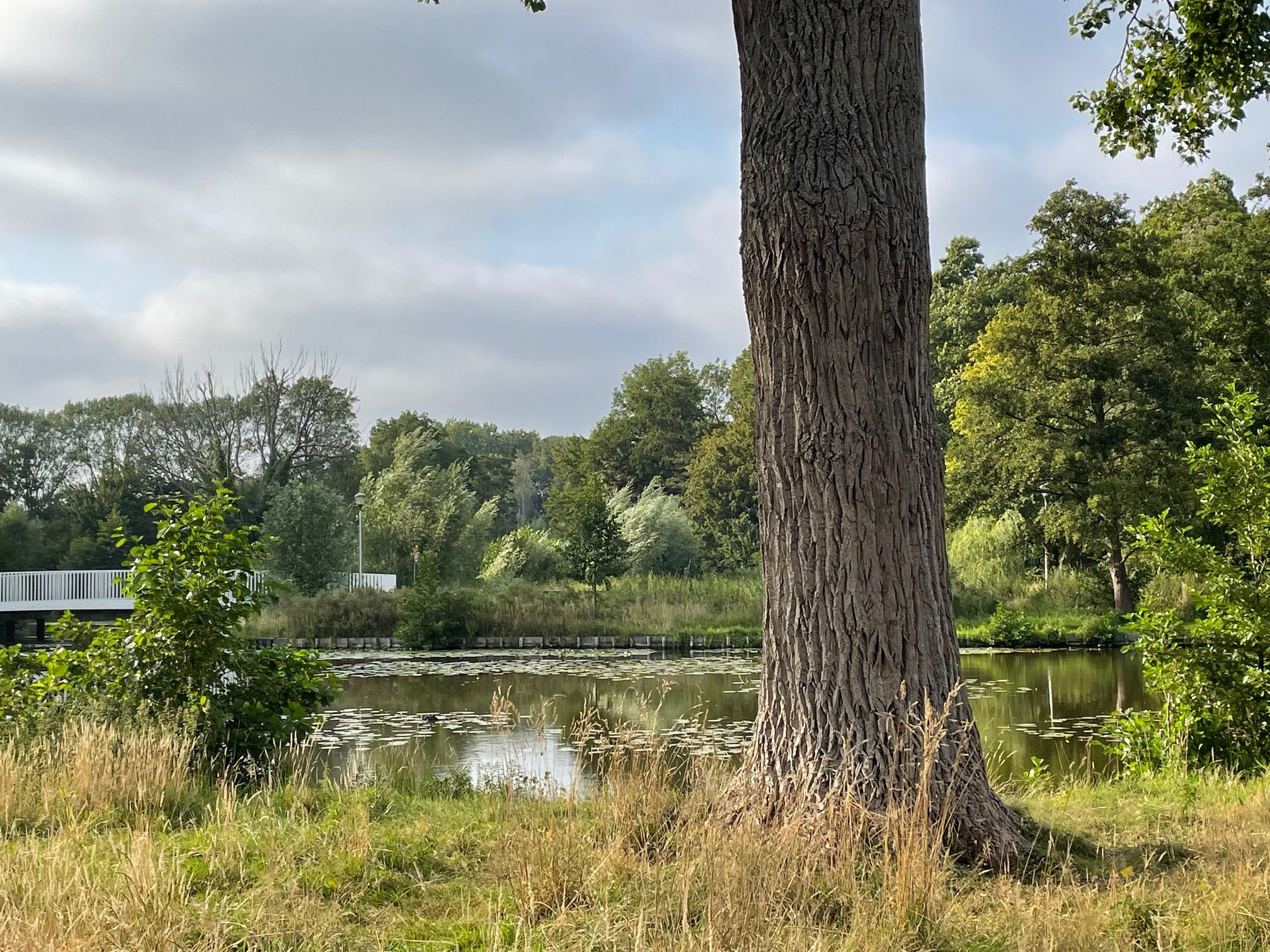 Foto 39 van Korteweg 19