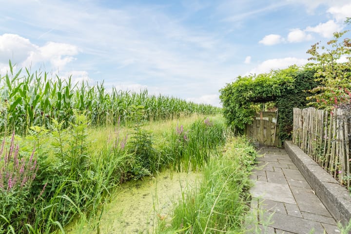 Foto 52 van Groene Dreef 9