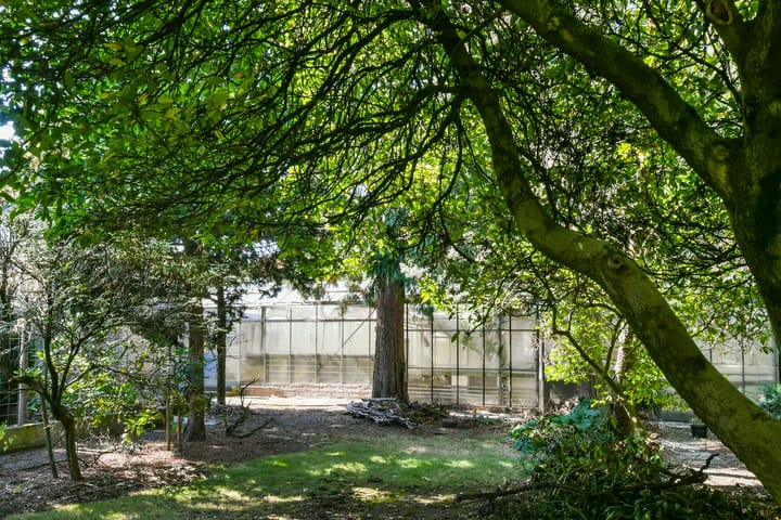 Foto 37 van Groenstraat 1