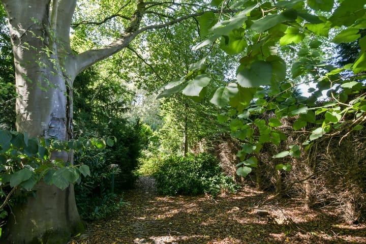 Foto 43 van Groenstraat 1