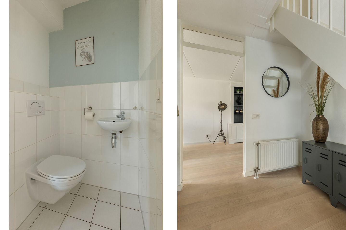 Photo 14 of Papegaaiduiker 18