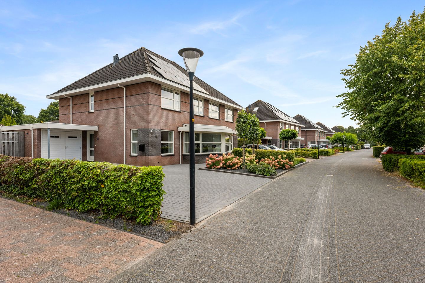 Photo 35 of Papegaaiduiker 18