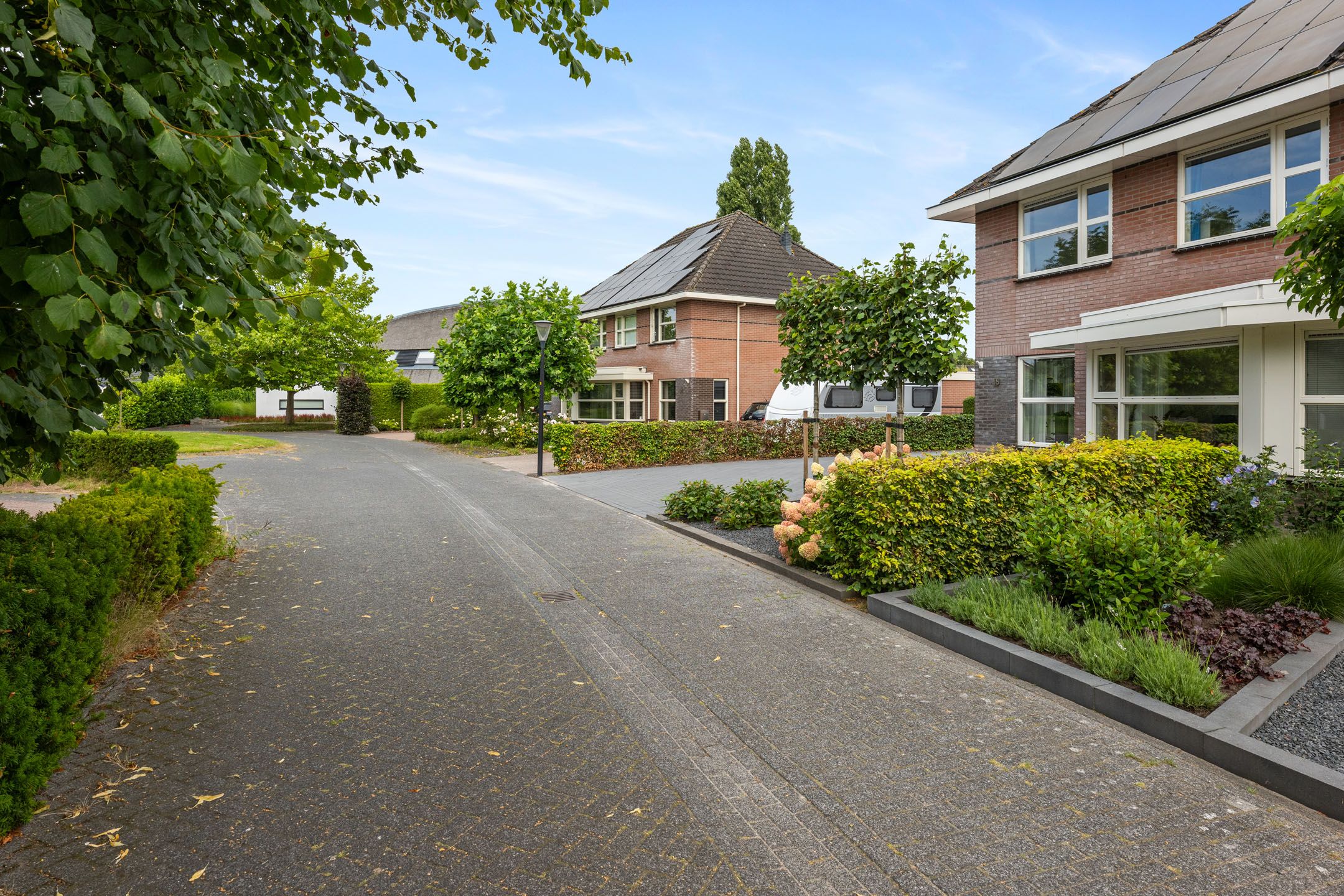 Photo 36 of Papegaaiduiker 18