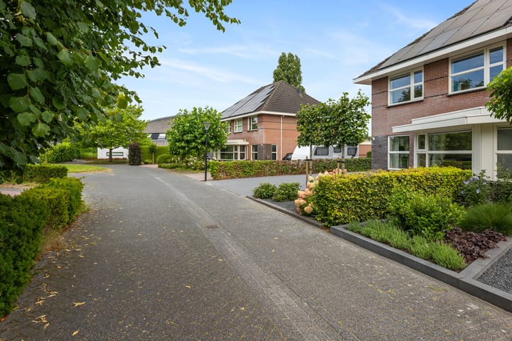 Foto 36 van Papegaaiduiker 18